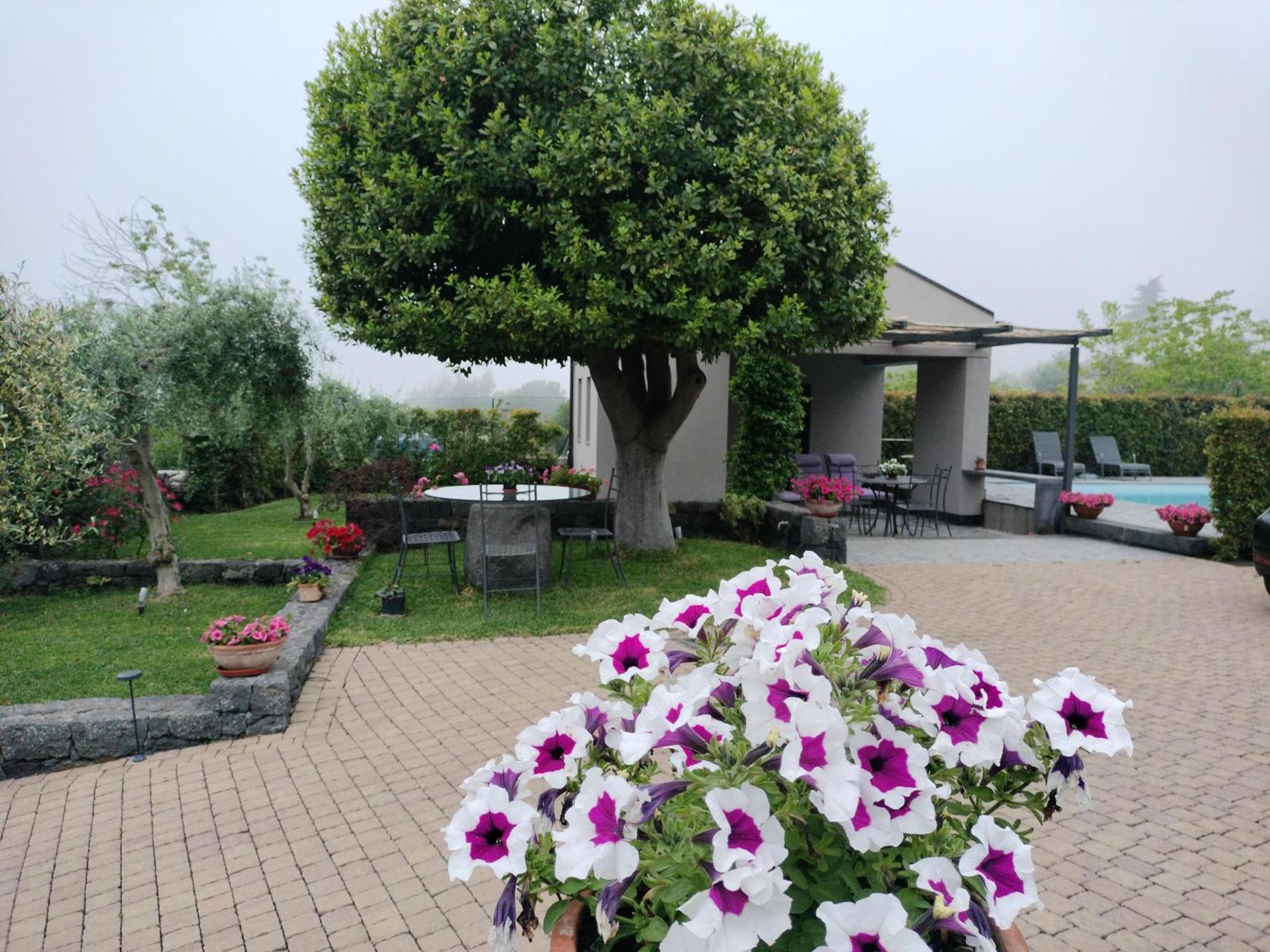La Casa Dell'Alloro Zafferana Etnea Exterior foto